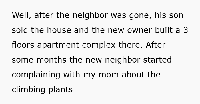 Hand holding a small potted climbing plant against a plain concrete wall, illustrating a charming view of pure concrete. Hand holding a small potted climbing plant against a plain concrete wall, illustrating a charming view of pure concrete.