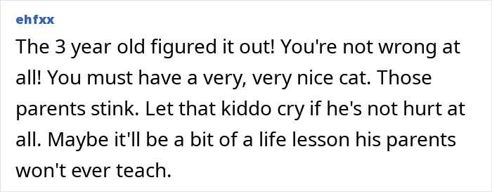Cat Teaches Aggressive Child Not To Hurt Animals After Parents Failed To Do So Cat Teaches Aggressive Child Not To Hurt Animals After Parents Failed To Do So