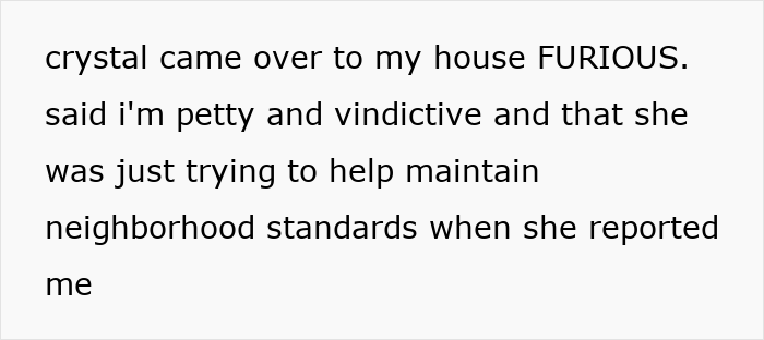 Text message conversation showing a neighbor calling someone petty over an HOA snitch and grass height dispute.
