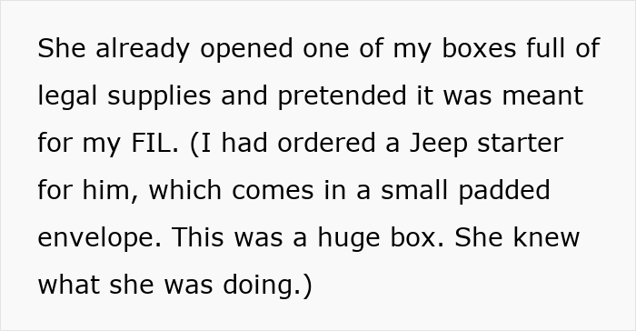 Text excerpt about nosy MIL opening packages, highlighting frustration and a surprising response from DIL with a vibrating surprise. Text excerpt about nosy MIL opening packages, highlighting frustration and a surprising response from DIL with a vibrating surprise.