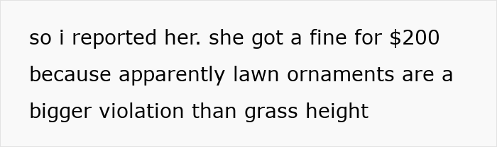 Text snippet about HOA snitch reporting lawn ornament violation, highlighting petty war over grass height and rule enforcement.