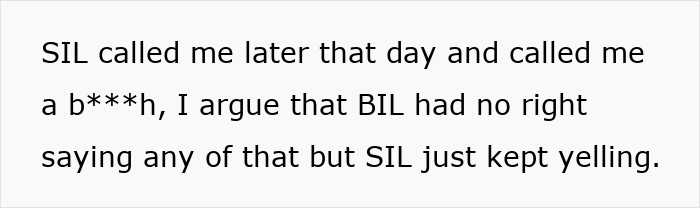 Text on white background stating a heated argument where SIL calls someone a b***h after helping with IVF and paternity claims arise. Text on white background stating a heated argument where SIL calls someone a b***h after helping with IVF and paternity claims arise.