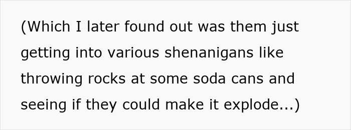 Text excerpt discussing shenanigans, related to cousin's family accusing woman of stealing spotlight with baby and engagement ring. Text excerpt discussing shenanigans, related to cousin's family accusing woman of stealing spotlight with baby and engagement ring.