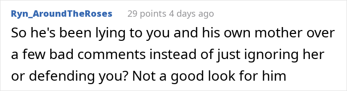 Comment by user Ryn_AroundTheRoses discussing someone lying about bad comments instead of defending their partner. Comment by user Ryn_AroundTheRoses discussing someone lying about bad comments instead of defending their partner.