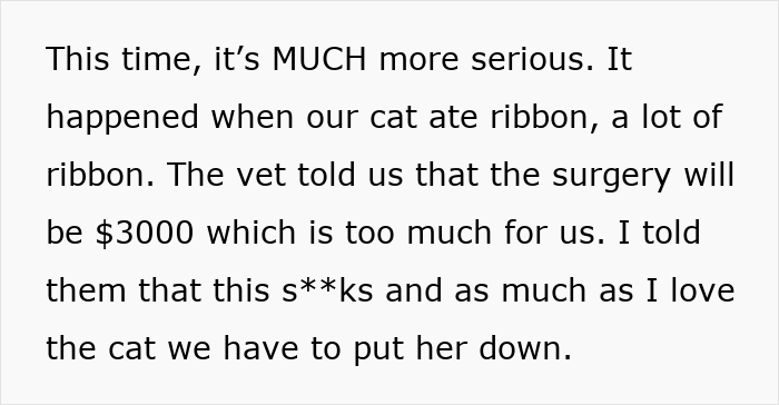 Text excerpt about a cat surgery costing $3,000 and parents planning to use teen’s college fund for it. Text excerpt about a cat surgery costing $3,000 and parents planning to use teen’s college fund for it.